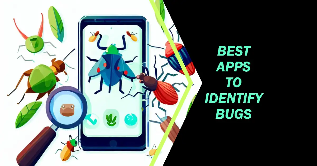 9-best-app-to-identify-bugs-to-become-a-bug-expert-2024