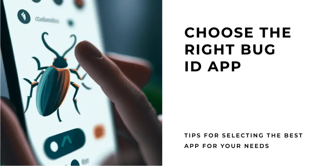 Choose the Right Bug Identification App for You (1)