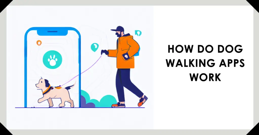 How Do Dog Walking Apps Work