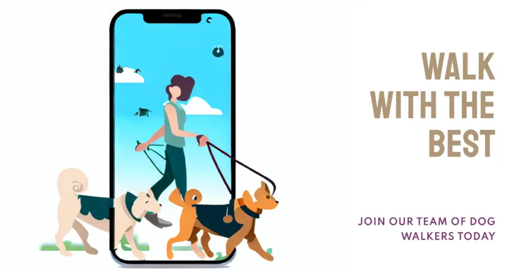 How To Become a Dog Walker on Wag