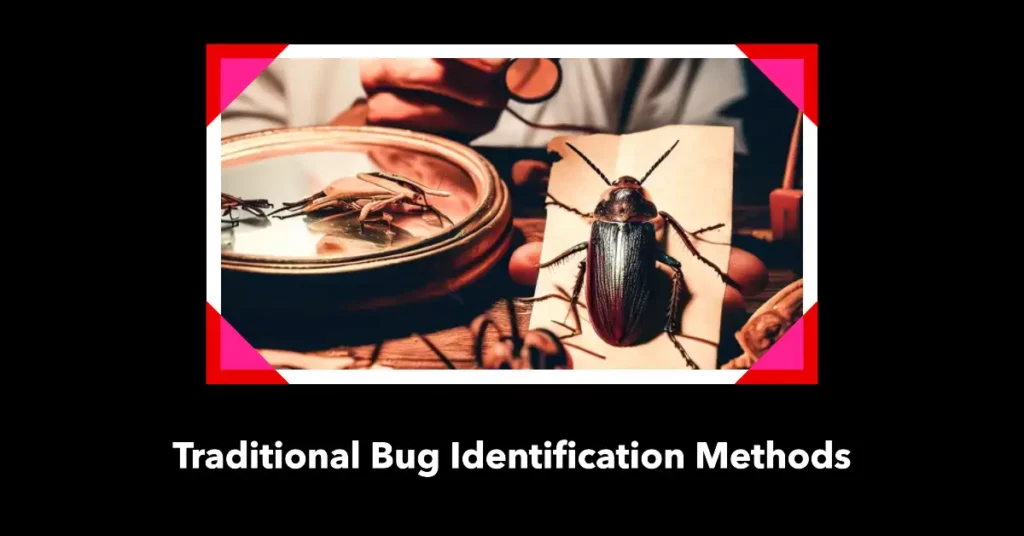 Traditional Bug Identification Methods