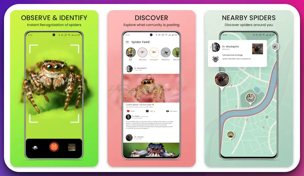 9 Best App To Identify Bugs To Unleash Your Inner Naturalist