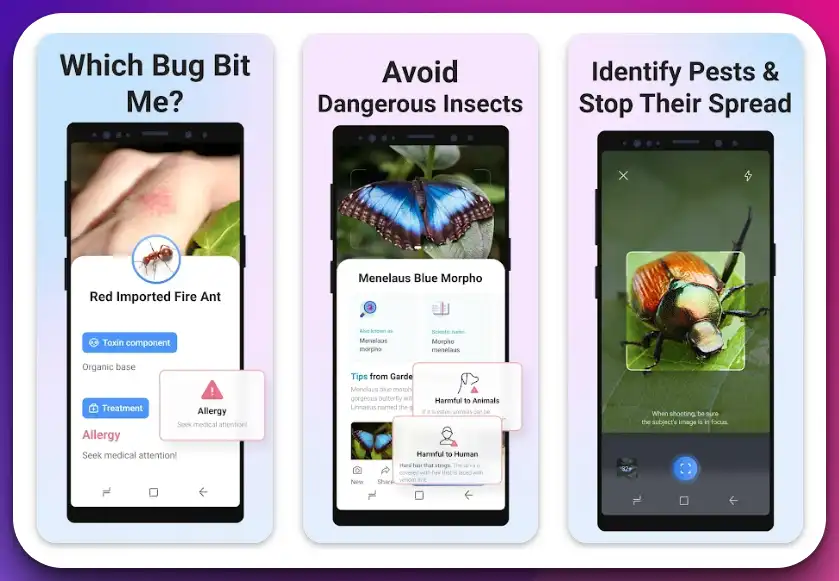 best app to identify bugs