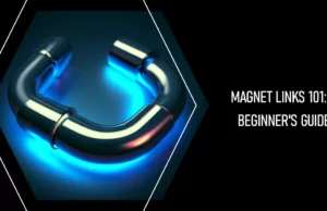 Basics of Magnet Links (6)
