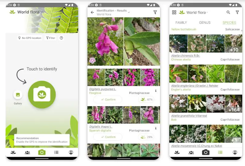 Best Plant Identification Apps 1