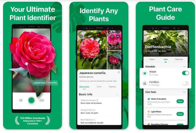 Best Plant Identification Apps