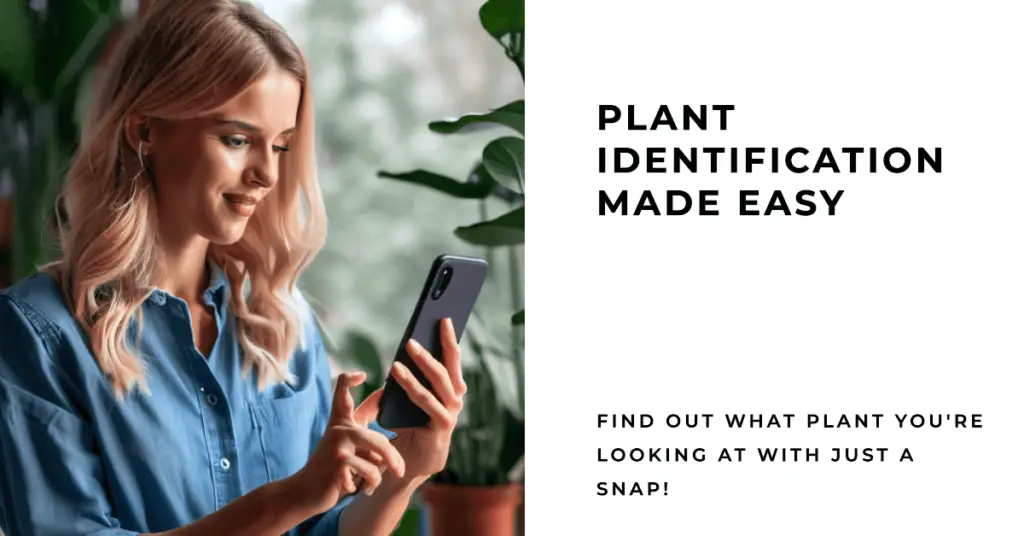 Factors to Consider When Choosing a Plant Identification App (1)