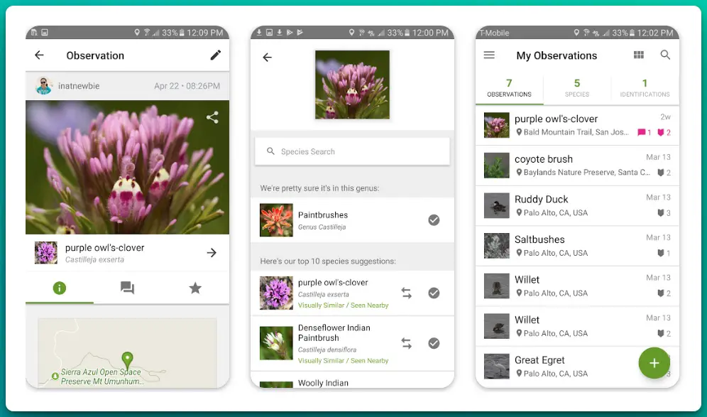 Top Apps to Identify Bugs 1