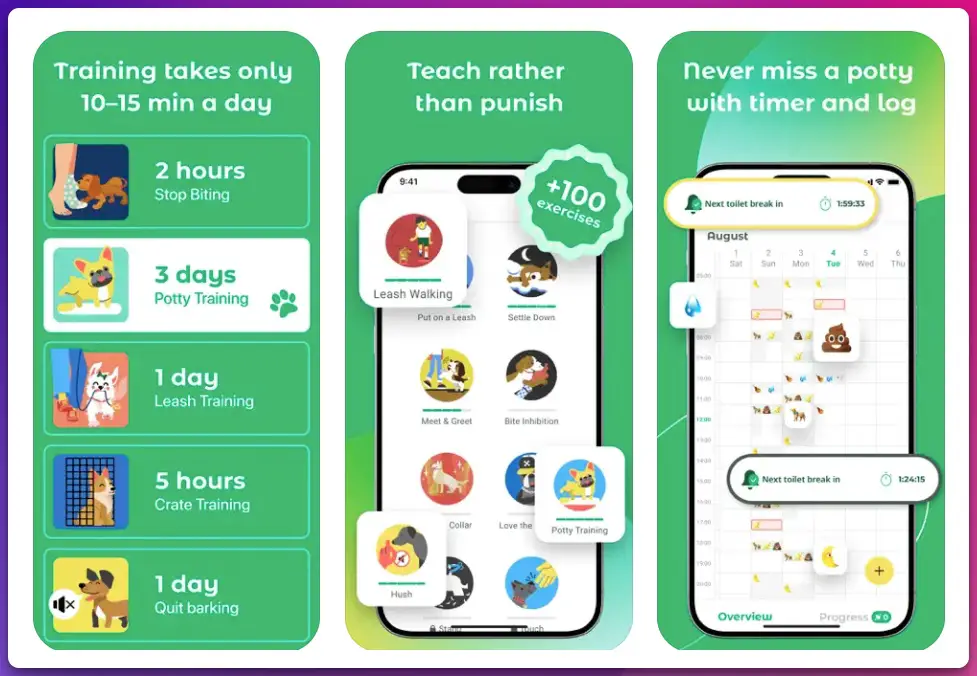 Best Dog Training Apps for Everyday Obedience