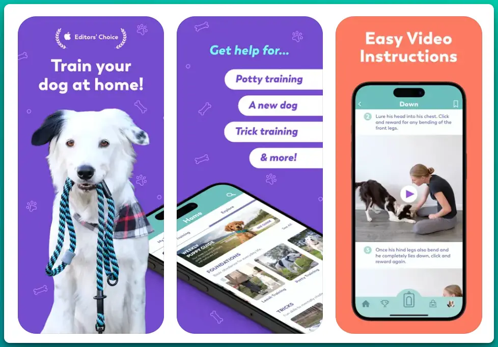 Best Dog Training Apps for Trick Enthusiasts