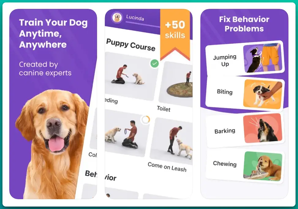 Socialization Tool Among the Best Dog Training Apps