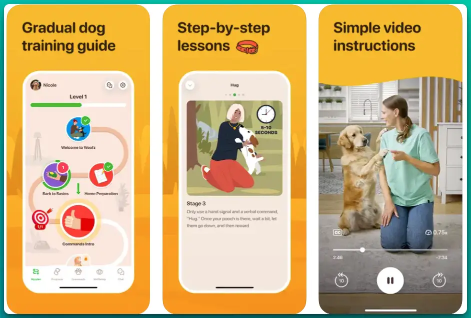Training in the Best Dog Training Apps Arena