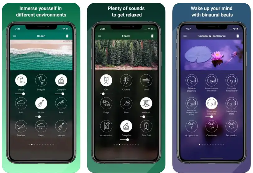 Ambient Customization in the Best ASMR Apps